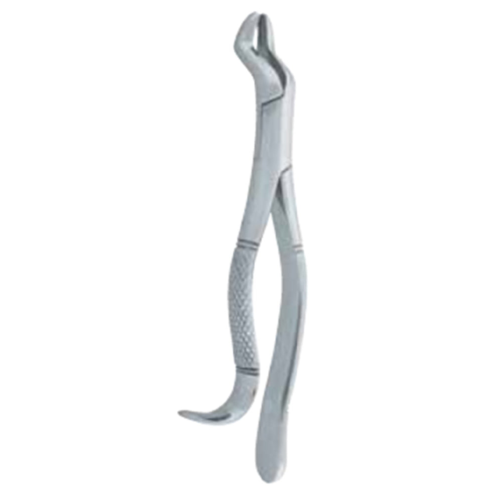 Tooth Dental Extraction Forceps 125mm (2)